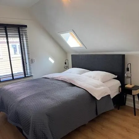 Sunny * 赞德沃特